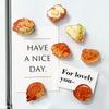 Magnetic Refrigerator Clip Sticker Snack Sealing Clip Multifunctional Note Photo Fixed Hand Account Clip Sealed Decorative Clip