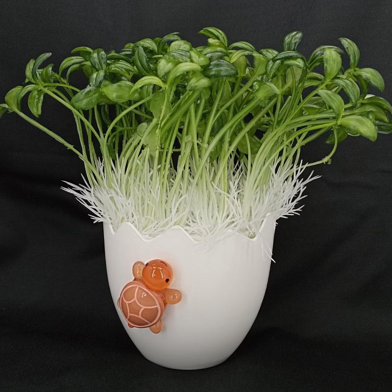 Easter Egg Planter Unique Succulent Pot Cute Eggshell Flower Vases With Turtle Succulent Planter Decorative Pot Plant Containers United States
