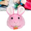 Plush Bunny Clockwork Toy Tail Shaking Rotating Cute Exquisite Fine Workmanship Plush Bunny Toy