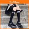 Dung Dung Socks Sports Fabric Breathable Antiodor Hidden Comfort For Teen Girls