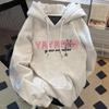 Trendy American High Street Spider Print Hooded Sweatshirt for Men & Women - Autumn/Winter Loose Fit.