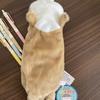 2024 Sea Otter Plush Pencil Case: Cute, High-End, Stylish & Functional Animal Storage Bag