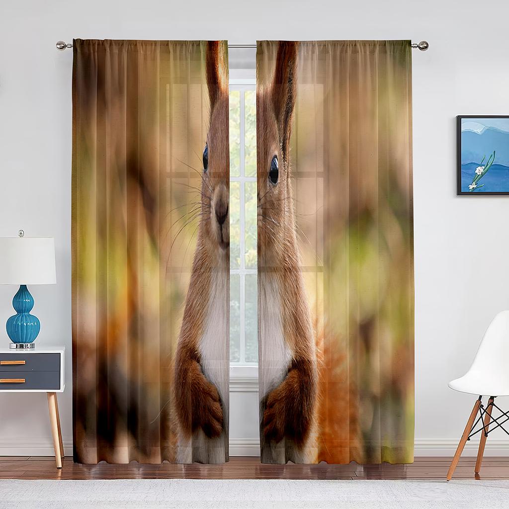 Squirrel Standing on Tree Branch Animal Sheer Voile Curtains for Living Room Modern Curtains for Kitchen Chiffon Tulle Curtain