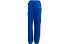 Originals ADICOLOR HERITAGE NOW Gestrickte Jogginghose Damen Blau IB2055