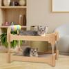 Cat Scratcher Bed House Hut Cats Furniture Interactive Ball Toy Scratching Pad for Indoor