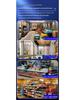 Pet-Style Dual-Lens Surveillance Camera with 360° View and Intelligent Remote Monitoring