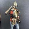 Renaissance Foot Combat Armor Classic Steel Sabatons Armor Wearable Half Body Armor Suit LARP, Cosplay  Display Suit