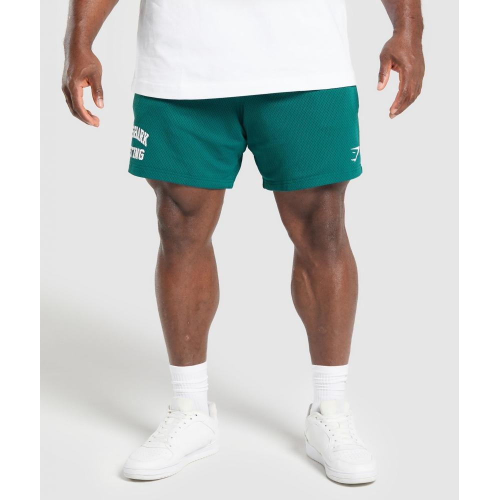 

Gymshark Lifting Mesh 7 Shorts Motivate Teal A6a3o Tbqr XS