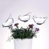 Imitation Glass Plastic Bird Automatic Water Dispenser Lazy Water Dispenser Travel Dripping Machine Lazy Water Dispenser Circula