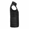 James Harvest Damen Gilet mit Polsterung und Arches-Design