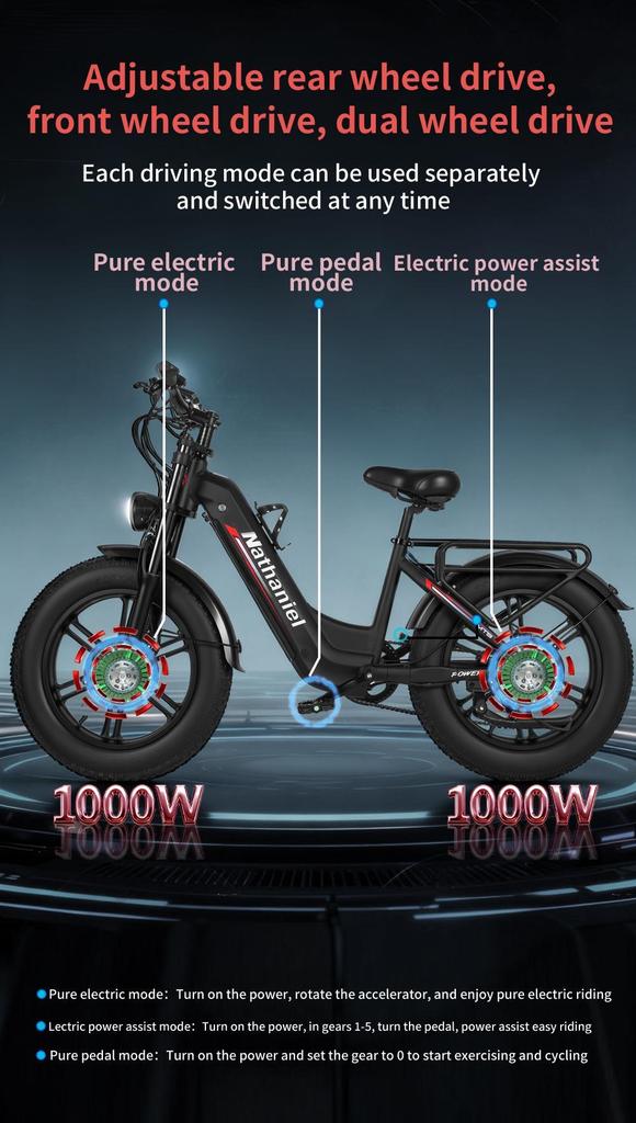 Nathaniel's New SYR08 Outdoor Electric Bike, Dual Motor 2000W, 20x4.0 Integrated Wheels, 48V20AH, Speed 50+, Snow/sand Outdoor Bike