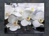 SZKLANA DESKA DO KROJENIA 52x40 ORCHIDEA