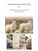 Unisex Solid Color Cashmere Wool Neck Warmer - Autumn/Winter Knitted Scarf for Students & Adults