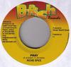 7inch Record RICHIE SPICE - Pray NONE B-Rich Records 2004 Jamaica Reggae, Ska & Dub Used