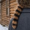 Verdikte Wasbeerstaart Hoed Comfortabele Oorbescherming Hoed Nieuwe Winterhoed Winter Herfst