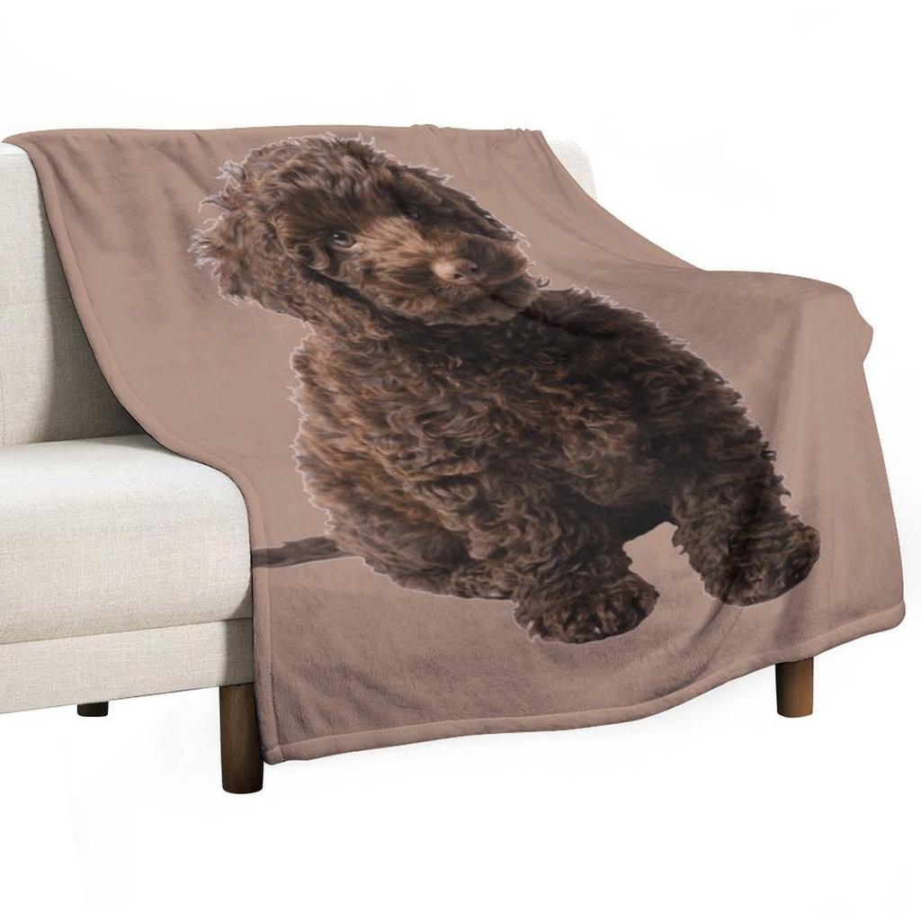 Labradoodle Throw Blanket Comforter Weighted Soft Big For Sofa Thin Blankets