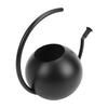 Watering Can, 1000ml Stainless Steel Indoor Plant Watering Pot with Comfortable Handle and   Spout, for   Garden Decor