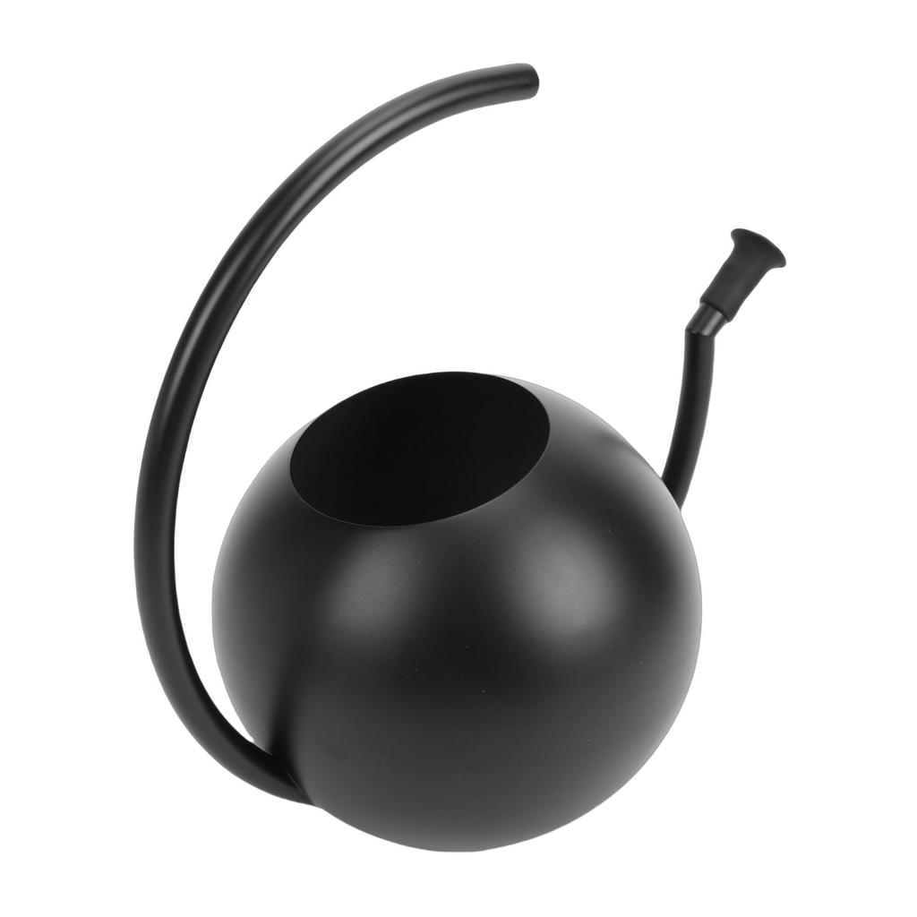 Watering Can, 1000ml Stainless Steel Indoor Plant Watering Pot with Comfortable Handle and Spout, for Garden Decor