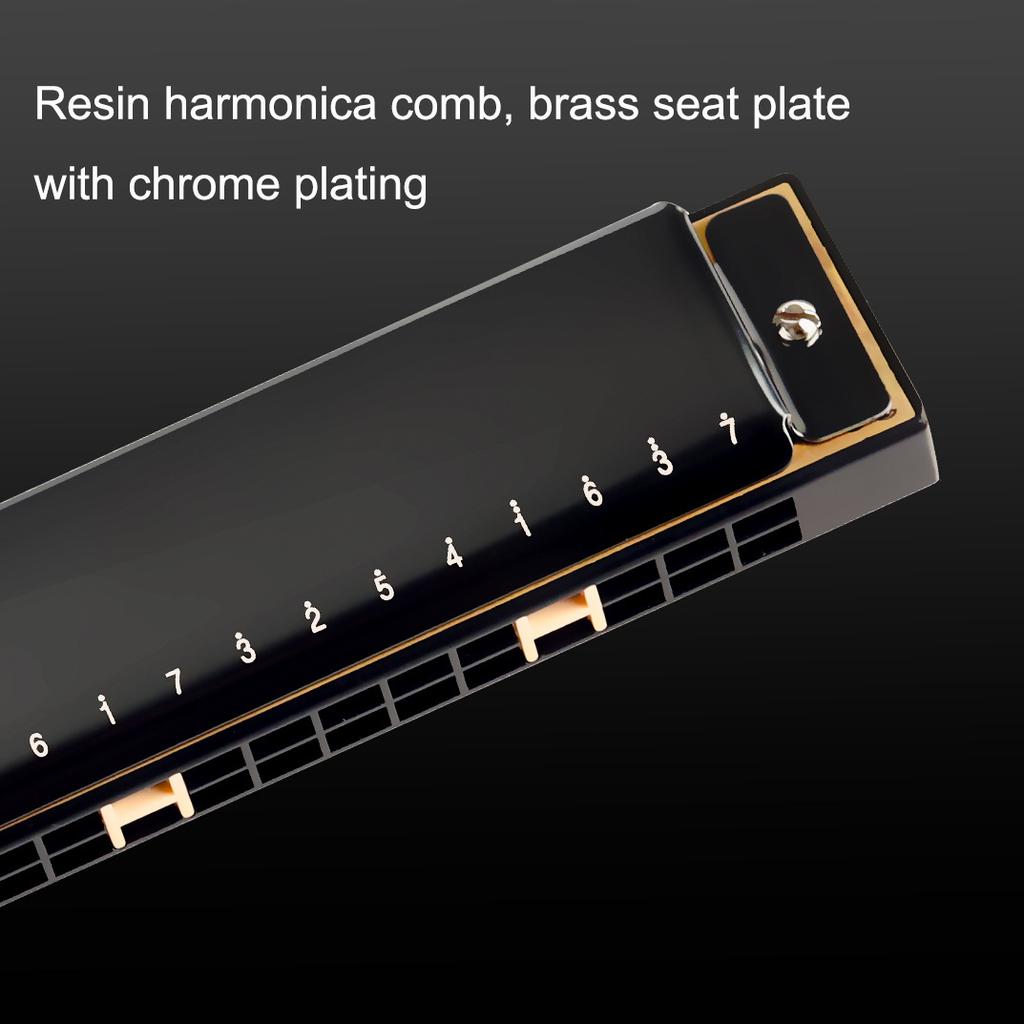Guoguang Tremolo Harmonica 24 Hole Key C Blues Harp Mouth Organ for Beginner Kit with Case