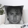 Garrett & Hannah The Deal Pillow Case Graphic Pillow Cover Retro Trendy Pillowcases For Living Room Chair