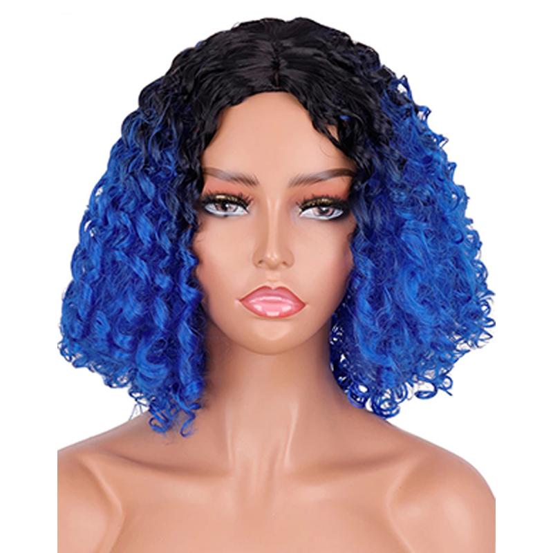 MERISIHAIR Afro Women Kinky Ricci Capelli Parrucca Ombre Nero Grigio  Sintetico Ad Alta Temperatura Fibra Parrucca Adatta per Feste Uso  Quotidiano acquista in modo economico — spedizione gratuita, recensioni  reali con foto —
