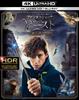 Audio/Video – Filmy