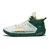 Li Ning Anti-5 Basketbalschoenen Heren Sneakers Wit Groen ABFT015-2