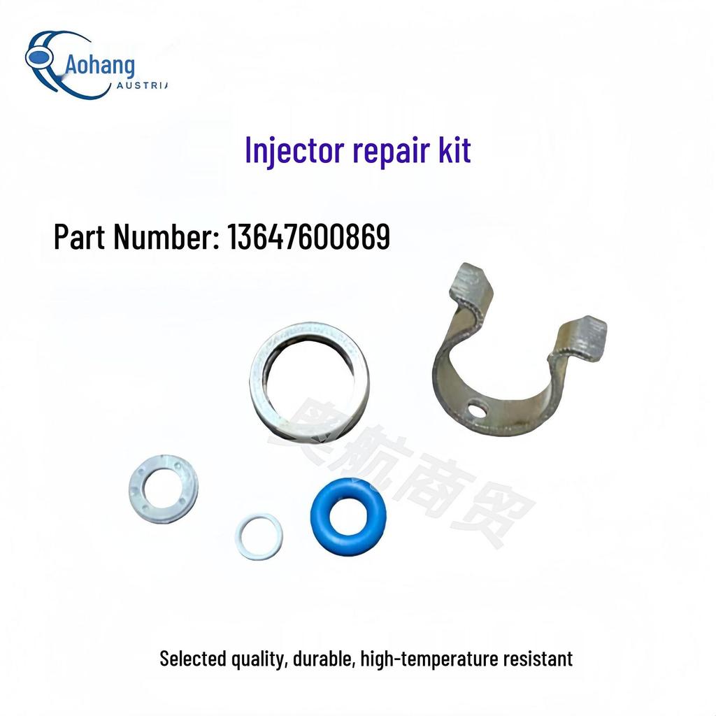 BMW Fuel Injector Repair Kit 13647600869