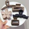 10pcs of versatile hair accessory styling clips, suitable for girls' daily outfits, parties, beach trips, or as a beautiful gift