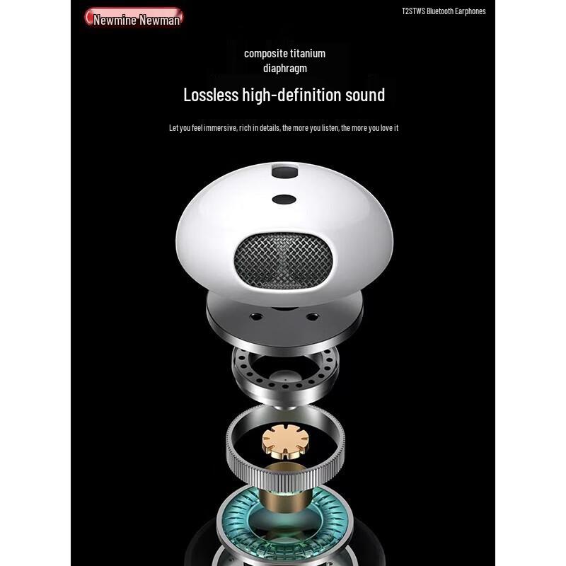 Newmine T2S Active Noise Cancelling TWS Earbuds