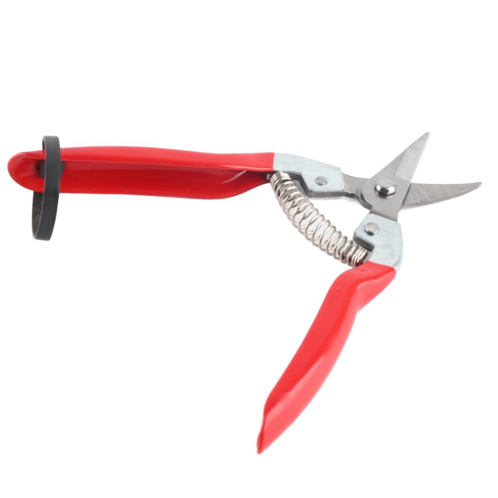 Plant Pruning Tool Made of Stainless Steel Sturdy / Durable Sharp Gardening Scissors For Fruit Tree / Bonsai Care
