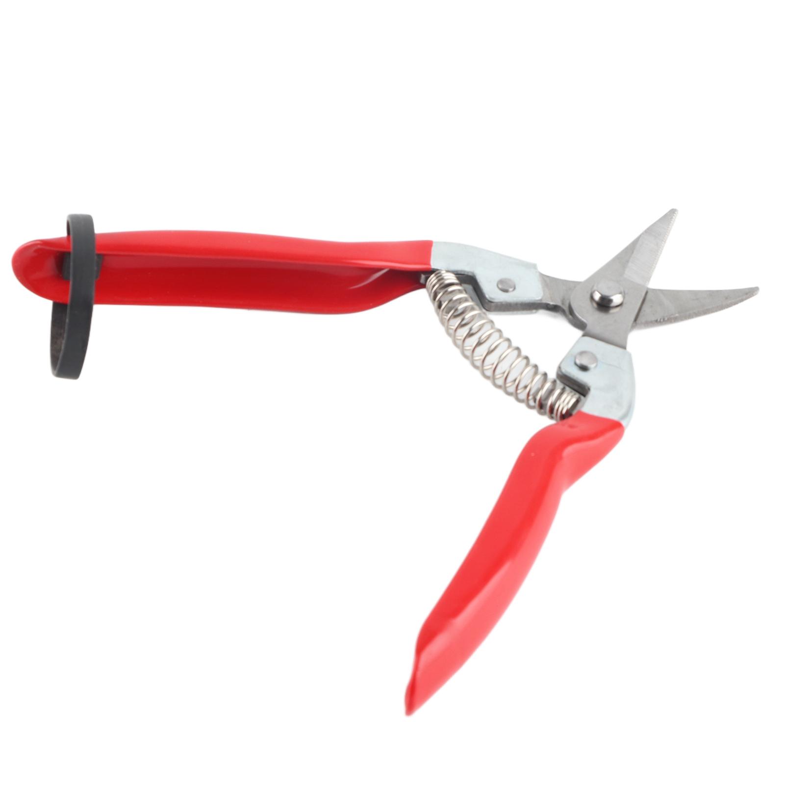 

Plant Pruning Tool Made of Stainless Steel Sturdy / Durable Sharp Gardening Scissors For Fruit Tree / Bonsai Care