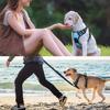 S-XL Dog Harness Dog Harness No Pull Breathable Reflective Pet Harness Vest for Small Medium Dog