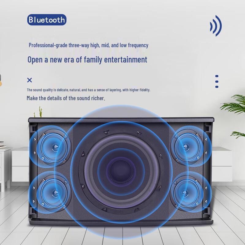 SAST Professional KTV & Conference Passive Speakers