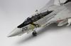 Platz/Italeri 1/48 Scale Aircraft Series U.S. Navy F-14A Tomcat Jolly Rogers (1970s VF-1, VF-2, VF-84) Plastic Model Kit TPA-01