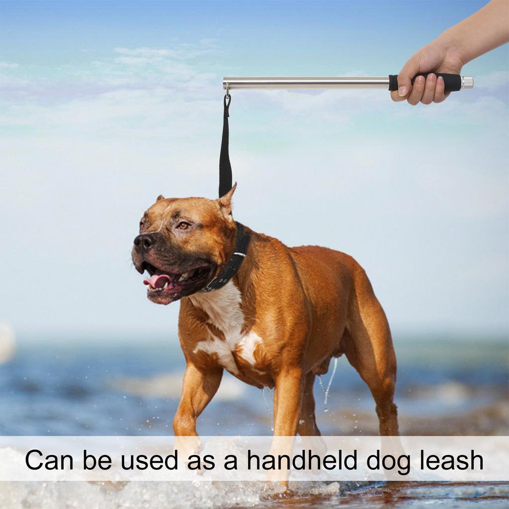 Dog Lsh Hand   Bike Lsh for Pet Dogs   Dog Bike Lsh Fit for Outdoor Exercise Dog Walking   Retractable sy to be Installation