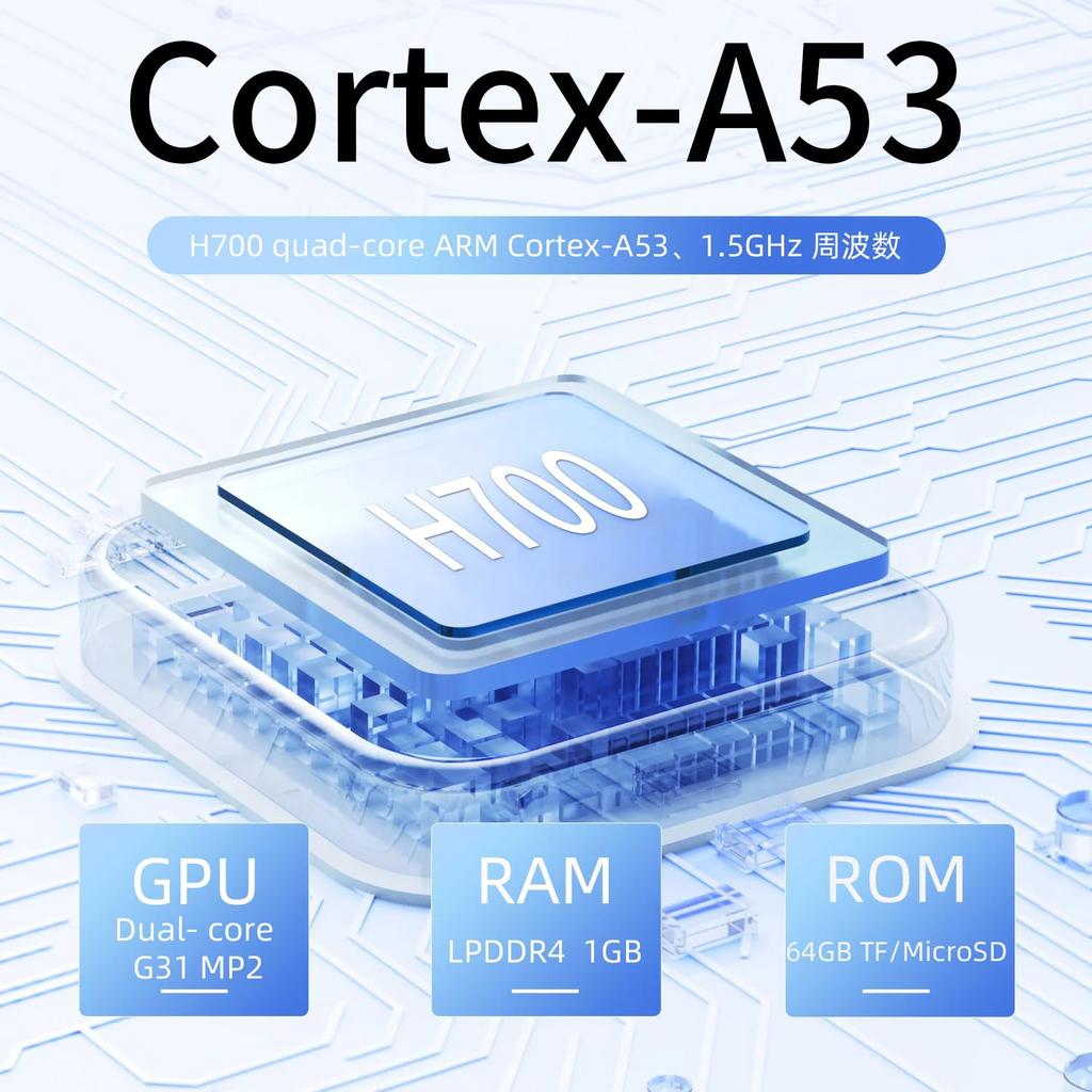 Anbernic RG40XXV Whatsko Handheld Portable Game 64GB Linux IPS Full 16 Million RGB Black Console, RAM, System, 4-inch Screen, WiFi, Bluetooth, Colors,