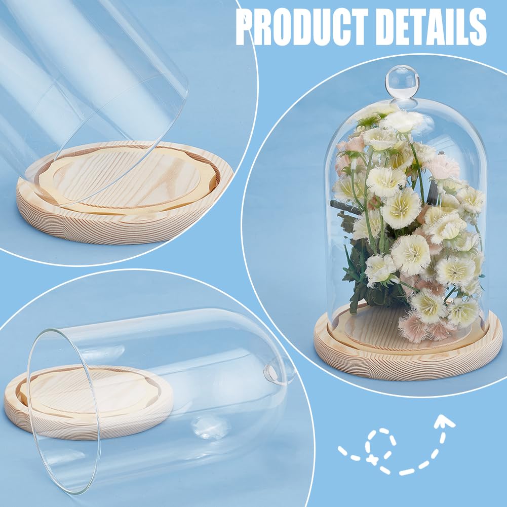 BENECREAT Eternal Flower Glass Dome Cover, 217mm Tall, Cloche, Micro Landscape with Wooden Base, DIY Decorative Display Case, Beige