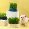 Cat Grass Planter Pet Cat Grass Digestion Growing Tray Cat Grass Box Plastic Nursery Plant Planting Box Hydroponic Pot Grow Box