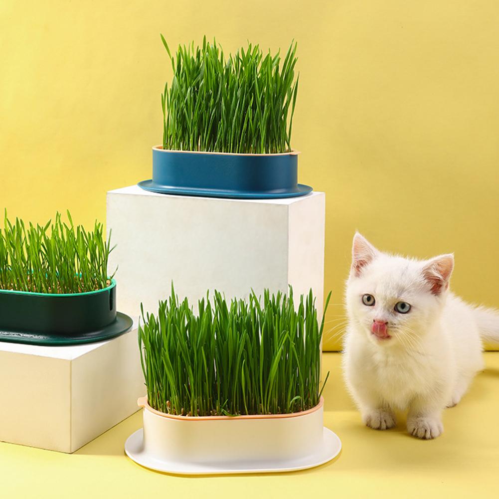 Cat Grass Planter Pet Cat Grass Digestion Growing Tray Cat Grass Box Plastic Nursery Plant Planting Box Hydroponic Pot Grow Box