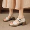 Roman Style Sandals Women's 2026 New Summer Outdoors Wear Casual Heightened Block Heel Shoes