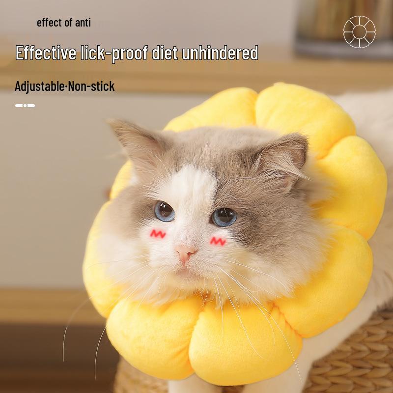 

Sunflower Cat Elizabethan Collar: Anti-Lick & Scratch Neck Protection for Spay/Neuter Recovery XS - Extra Small