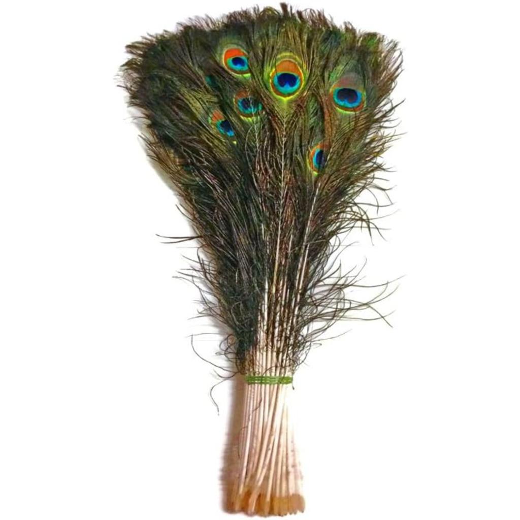 10 Pcs Natural Peacock Feathers with Eye Craft Decoration