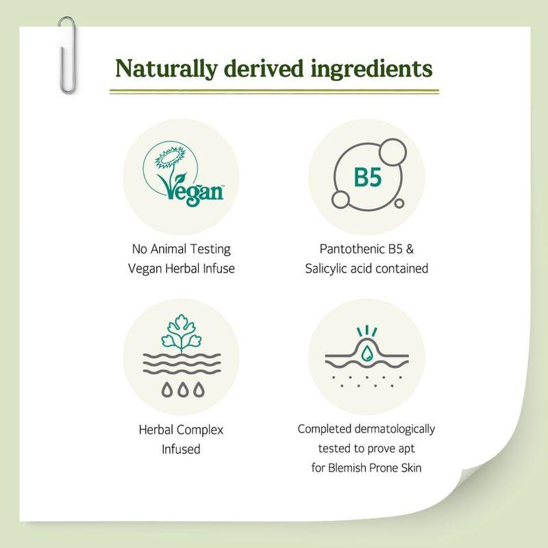 Skinfood Pantothenic Water Parsley Toner LARGE