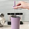 Thick Insulated Stainless Steel Water Bottle, Leak-Proof Design, Foldable Straw Lid, Suitable for Cold & Hot Drinks, Simple Fashion