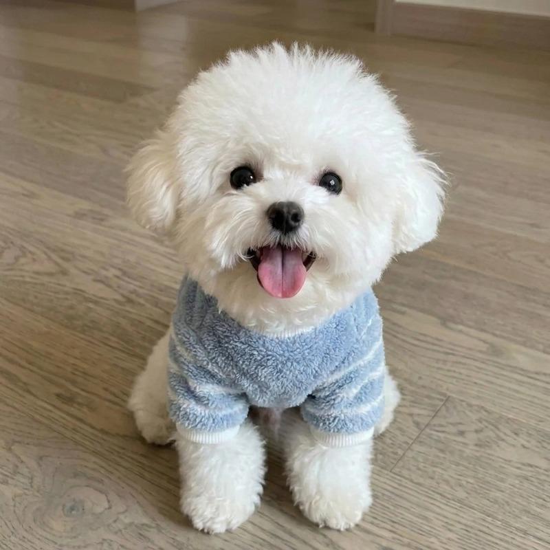 Cartoon Patch Maltese Cotton Coat, Winter Four-Legged Dog Clothes, Striped Warm Jumpsuit for Small & Medium Dogs, Pet Outfit wit