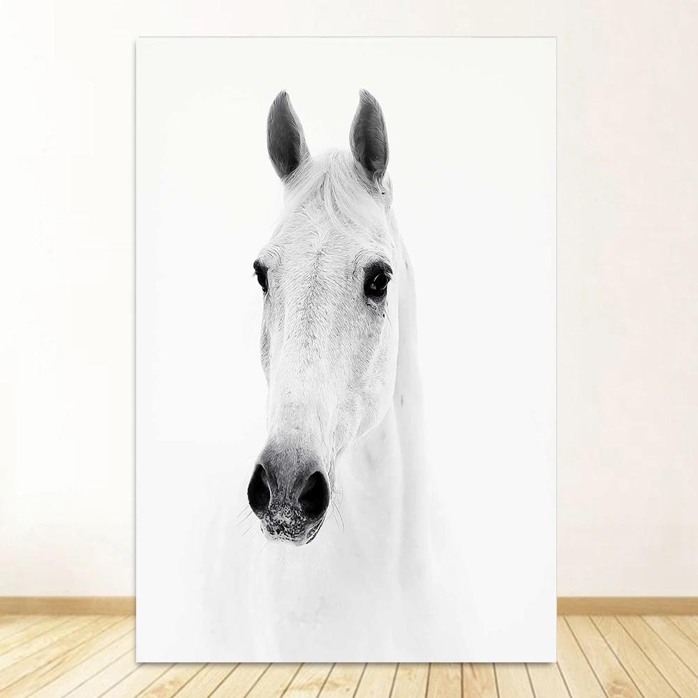 

Черно-белый портрет лошади, постер, печать на холсте, картина с изображением бегущих лошадей, настенное искусство, картина для декора комнаты в фермерском доме 20x30cm