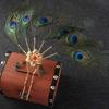 Temperament Peacock Feather Hairpin Ethnic Dance Hair Stick Hairstyle Design Tool Hair Accessories