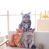 Sleep Neck Protection Napping Cat Shape Simulation Cat Throw Pillow Pillow Cushion Home Textile