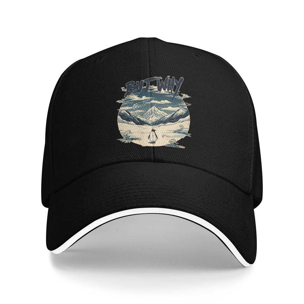 Spring Nihilist Penguin But Why Baseball Cap Outdoor Sports Stylish Design Sun Hip Hop Hats UnisexTeens SunProof Baseball Caps